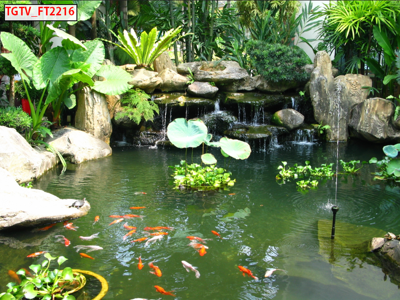 CỬU NGƯ QUẦN HỘI